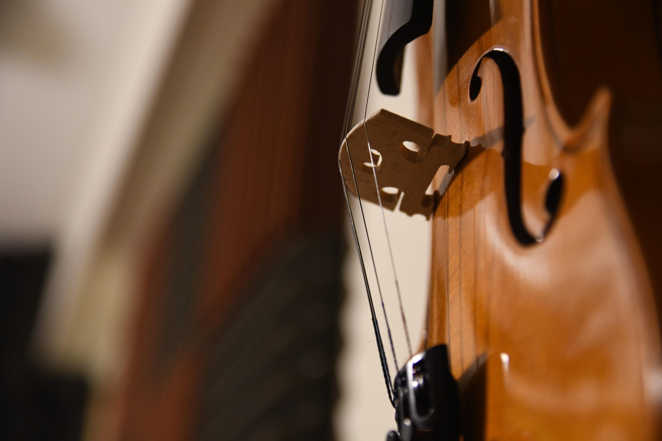 magstd-violin-5818267